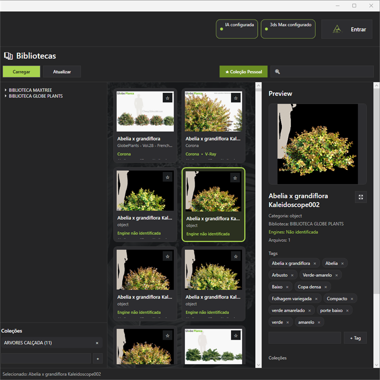Asset selecionado com tags no painel de preview